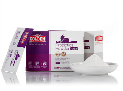 美国短毛猫幼猫吃什么补充营养?猫补充营养吃